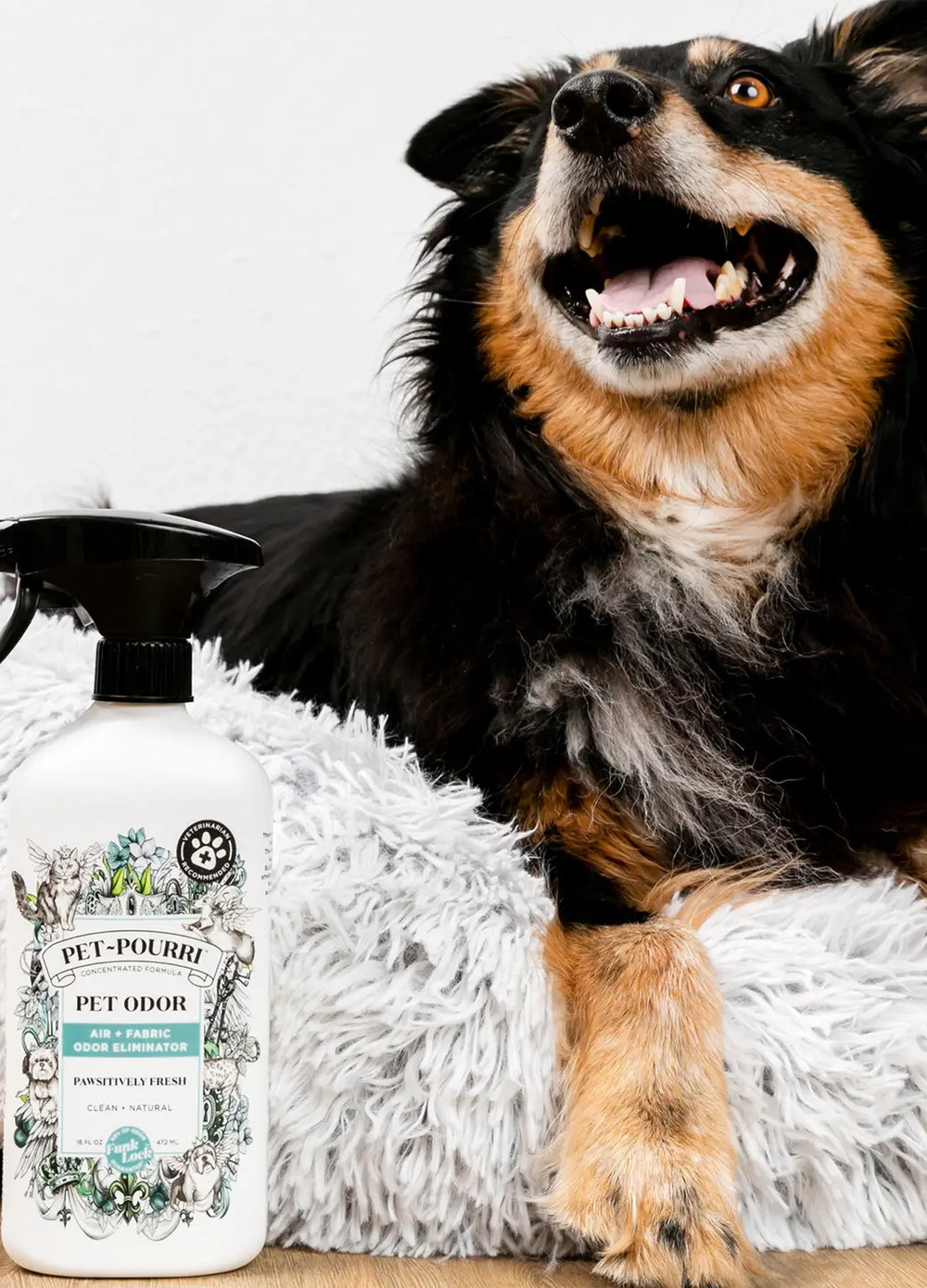 Pet~Pourri Air+Fabric Odor Refresher - 2 Scents