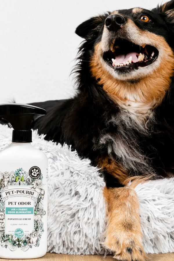 Pet~Pourri Air+Fabric Odor Refresher - 2 Scents