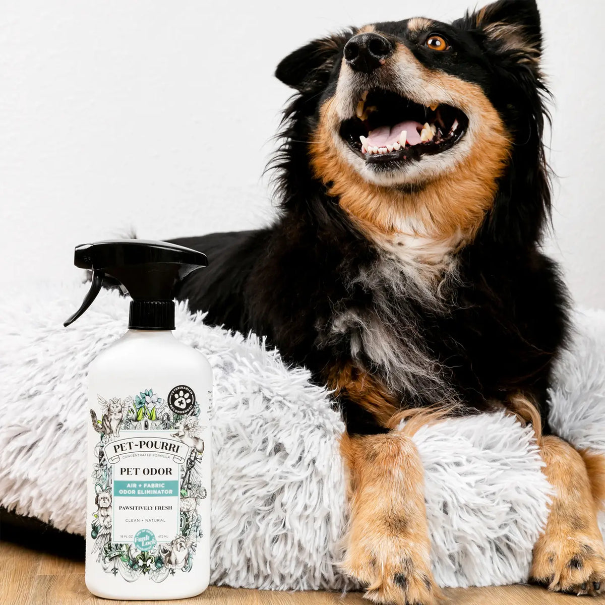 Pet~Pourri Air+Fabric Odor Refresher - 2 Scents
