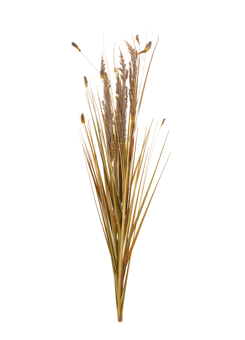 Fall Onion Grass Bush