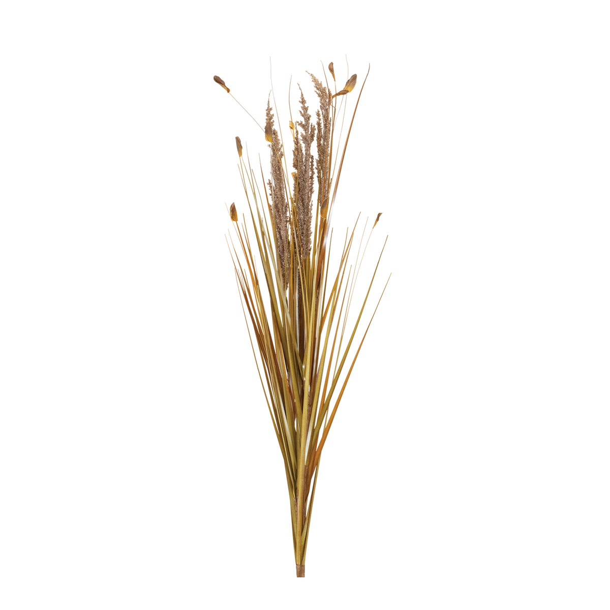 Fall Onion Grass Bush