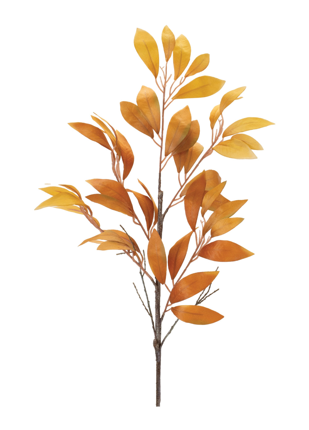 Fall Leaf Stem