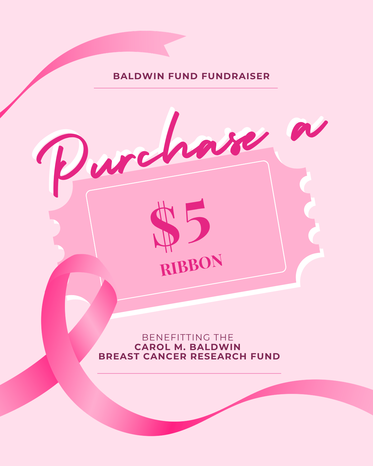 Baldwin Ribbon Sale - For Charity!