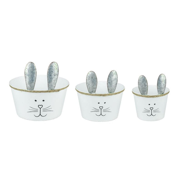 Peek-A-Bunny Buckets - Multiple Sizes