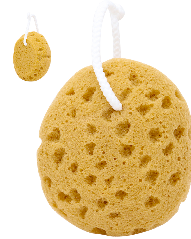 Bath Sponge Lather