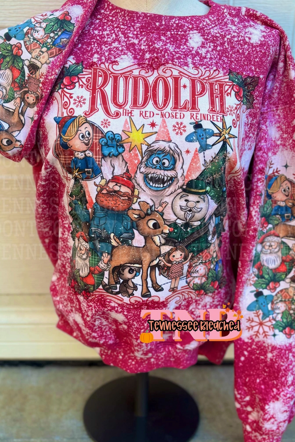 PREORDER- Rudolph & Friends Sweatshirt
