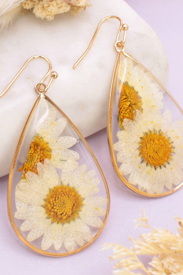 Daisy Duo Gold Teardrop Dried Flower Earrings