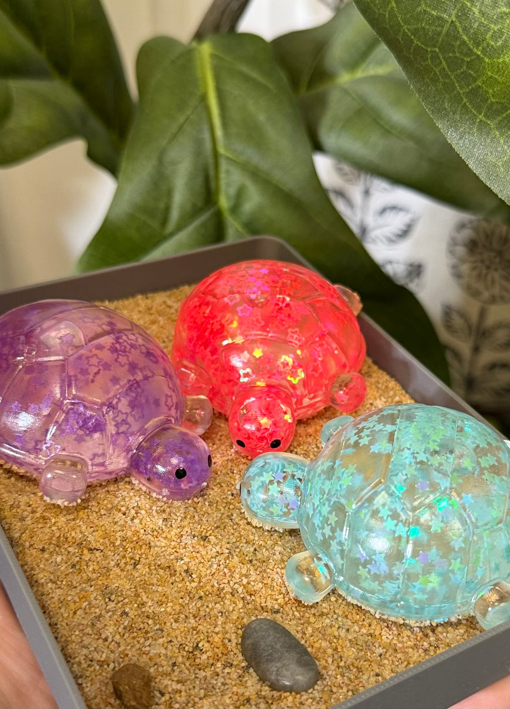 Viral Turtle Squishy - Multiple Colors