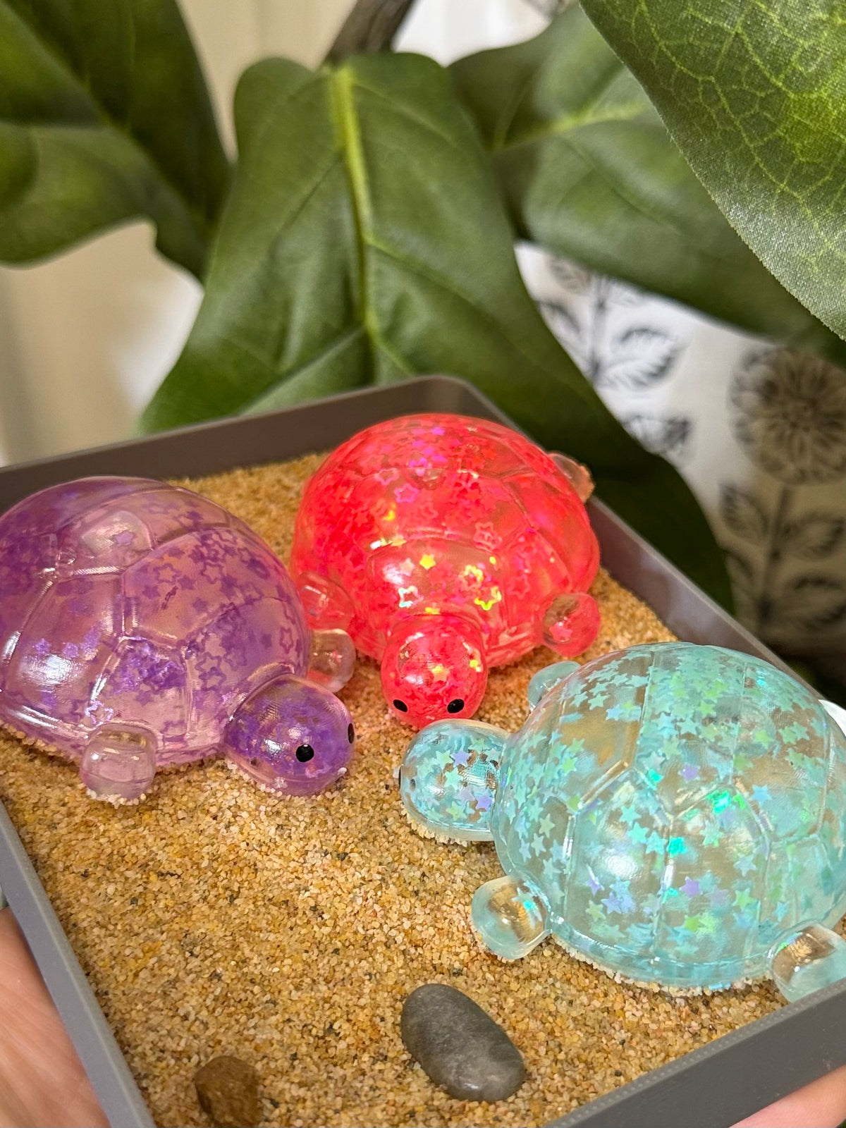 Viral Turtle Squishy - Multiple Colors