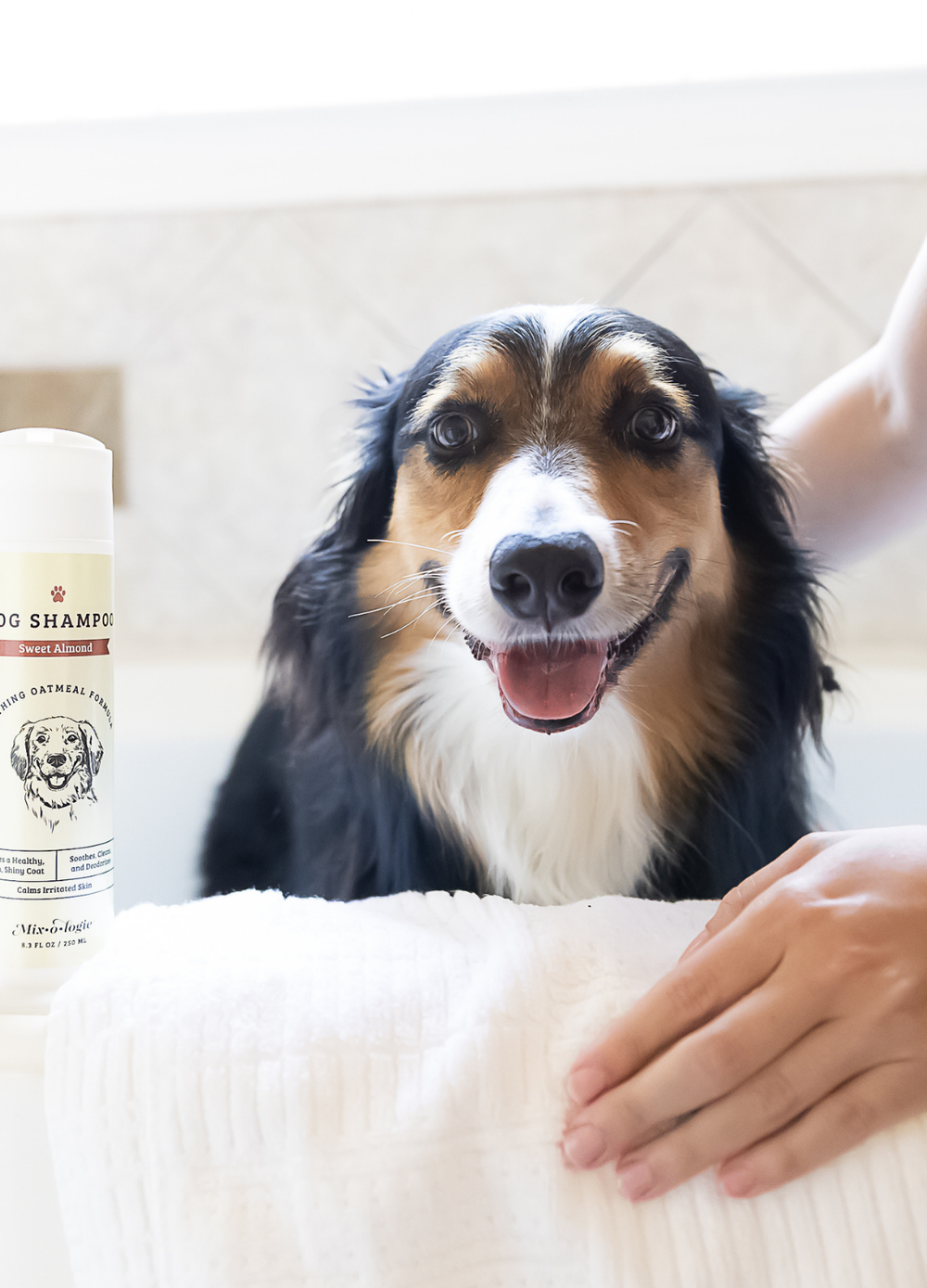 PREORDER- Soothing Dog Shampoo by Mixologie