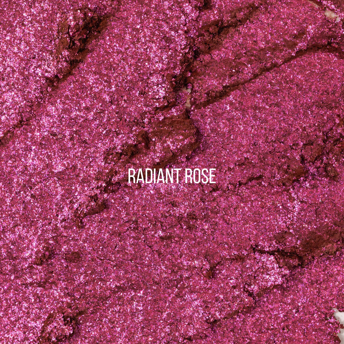 PREORDER- Bounce Highlight