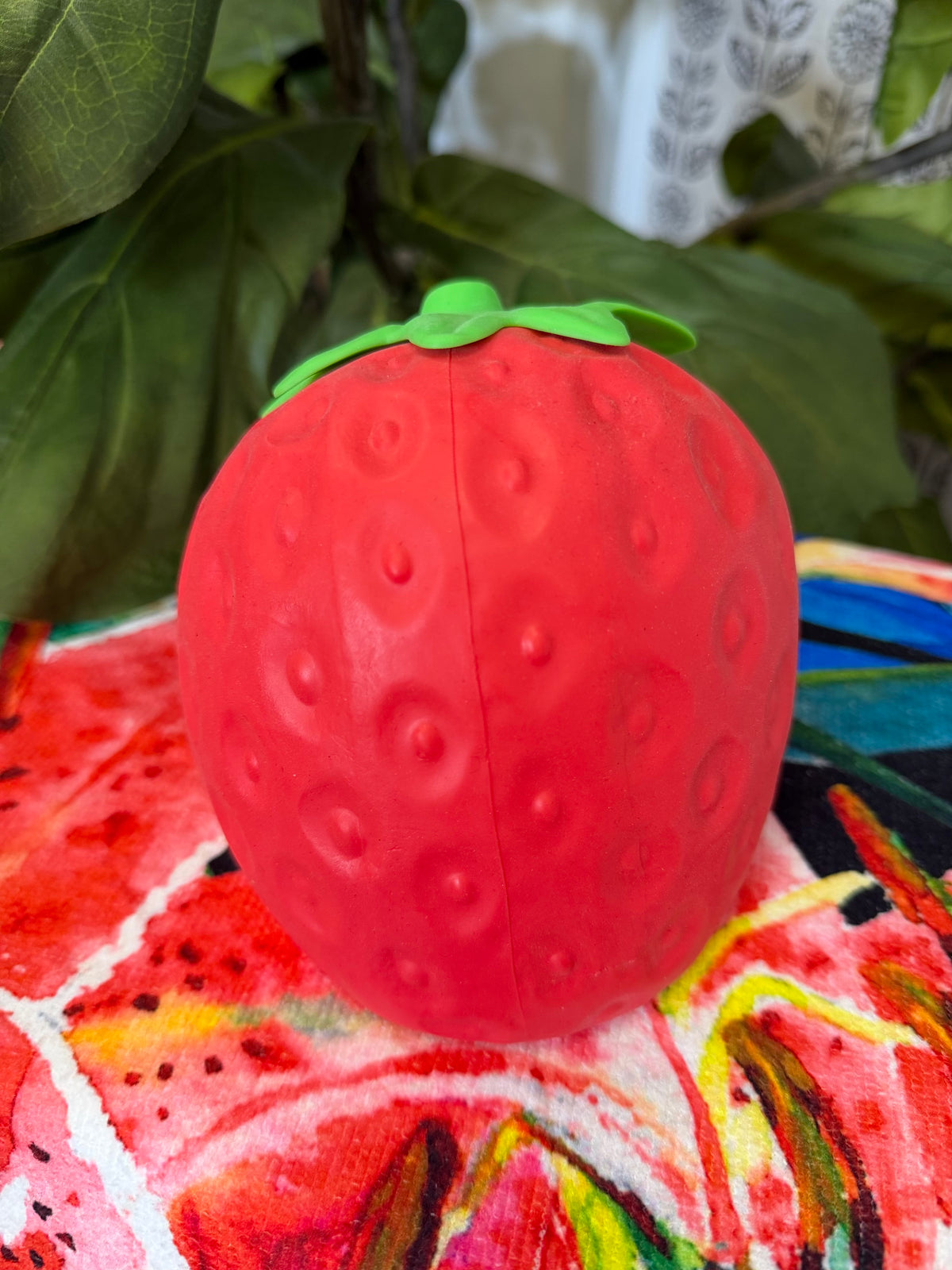 Viral Giant Strawberry Squishy