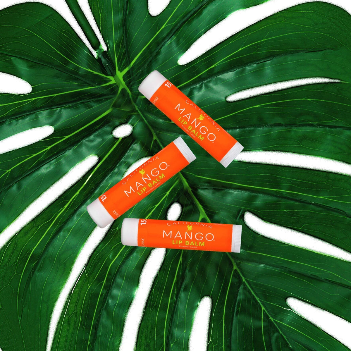 PREORDER- It's the Balm! 3-Pack Lip Balm