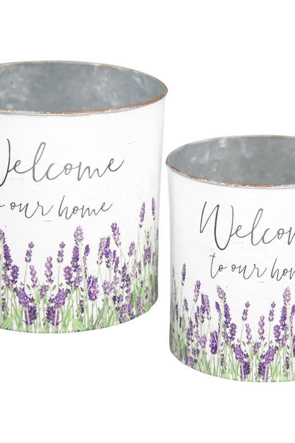 Welcome Lavender Buckets - Multiple Sizes