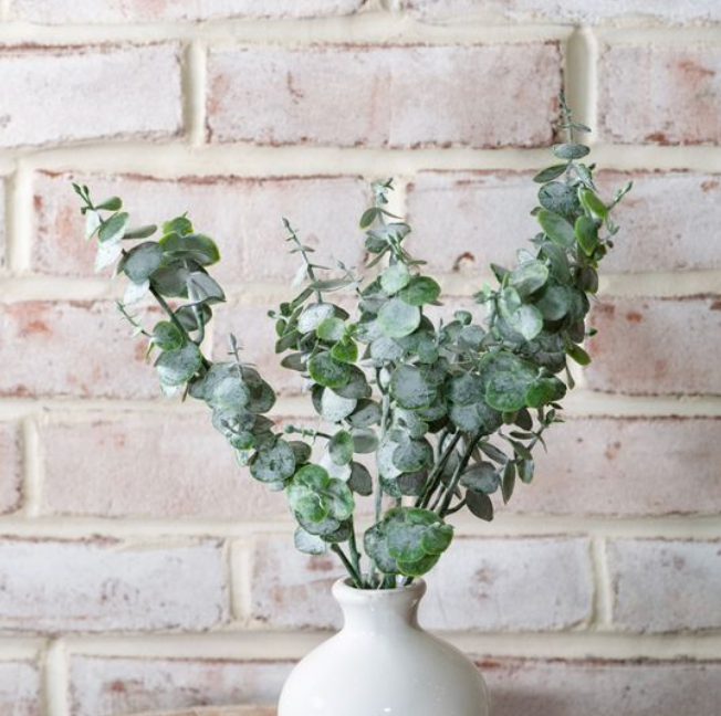 Eucalyptus Spray