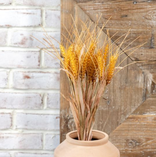 23.6" Fall Reed Bush