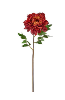 Velvet/Satin Peony - Multiple Colors