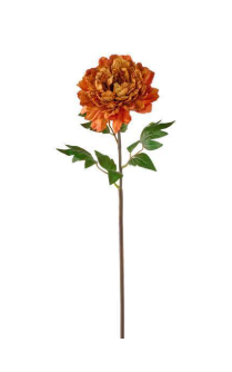 Velvet/Satin Peony - Multiple Colors
