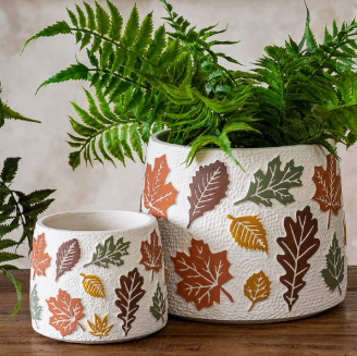 Fall Leaf Cement Planter - Multiple Sizes