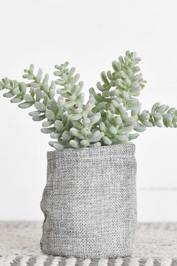 7.5" Flocking Succulent In Gunny Bag