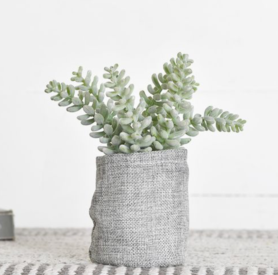 7.5" Flocking Succulent In Gunny Bag