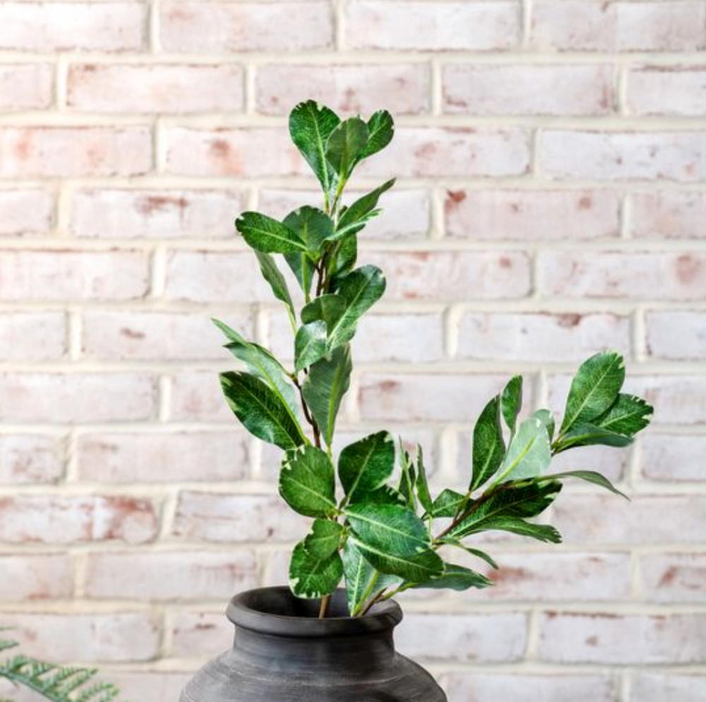 *INNER* REAL TOUCH PITTOSPORUM STEM