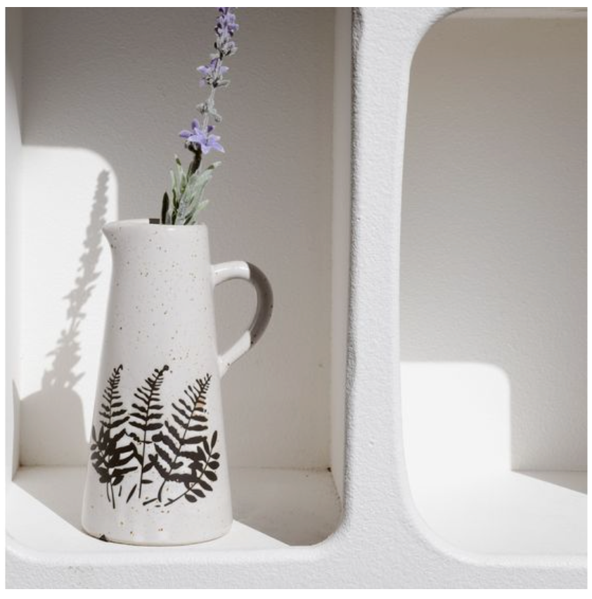 5.5 BLK/WHT Fern Pattern Pitcher