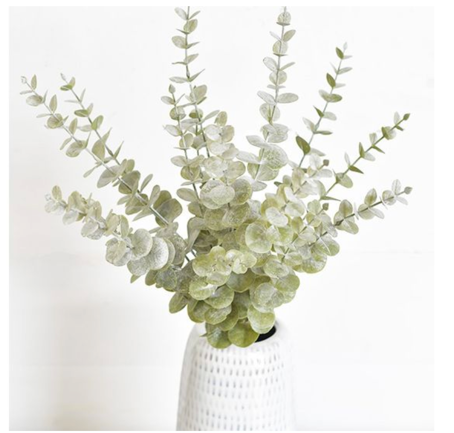 Powder Wash Eucalyptus Bundle