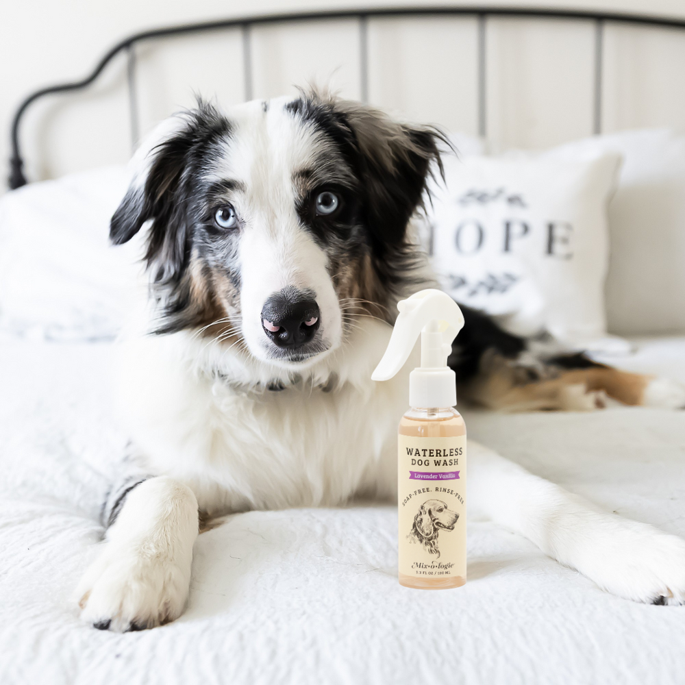 PREORDER- Rinse-Free Dog Wash by Mixologie
